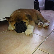 Jefferson participe au concours pour gagner de l'argent avec cette photo :
