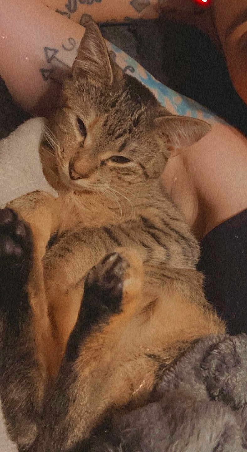 Peaches