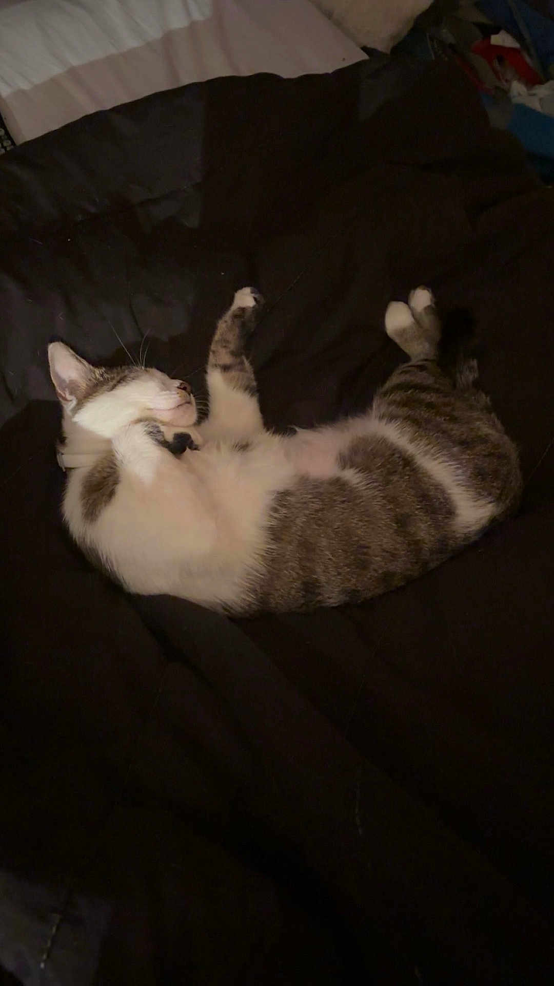 Chloe