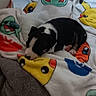 animal, black_and_white, blanket, bulbasaur, colorful, cozy, cute, dog, fur, indoor, napping, pet, pikachu, pokemon, puppy, resting, sleeping, small, soft, tile_floor