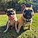 Kimi And Koa
