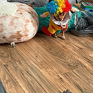 Buttercup is registered to the contest to win money with this photo: dog, clown_costume, colorful_wig, small_dog, wooden_floor, cushion, plush, person, gray_sweatpants, toy, indoor, pet, funny_costume, living_room, floor, curly_wig, red, yellow, blue, brown_dog