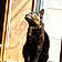 Xena