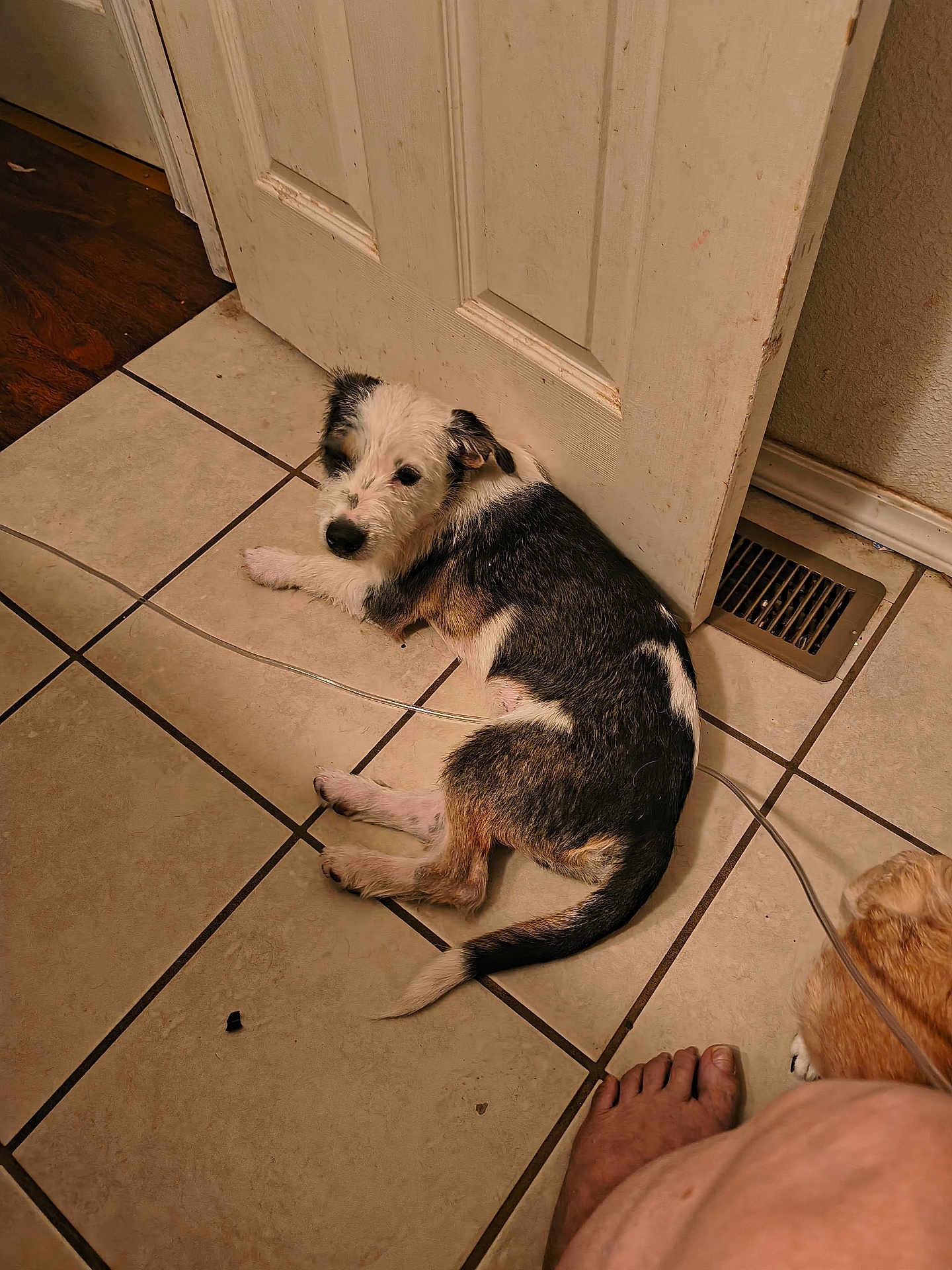 Max