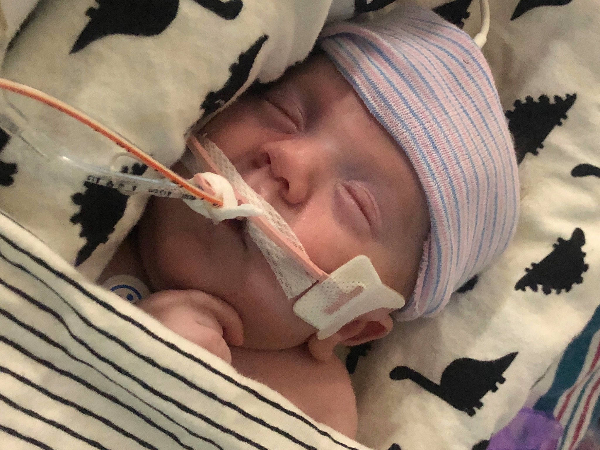 Roy joined the competition — help win amazing prizes! baby, cheek, chin, comfort, ear, eye, eyebrow, eyelash, face, head, headgear, headwear, human, lip, mouth, neck, nose, person, product, skin