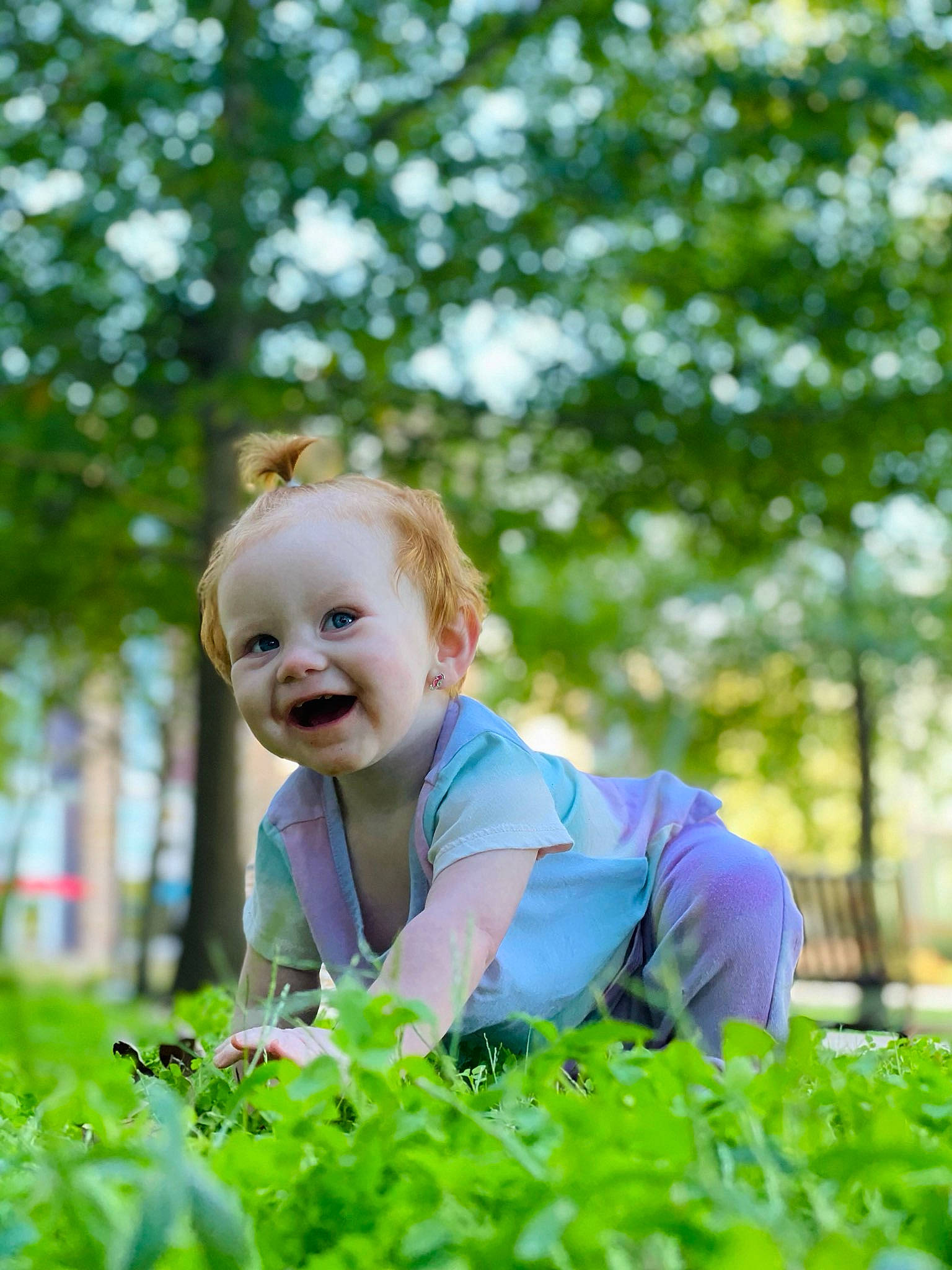 Debra is registered to the contest to win money with this photo: baby, blond, child, electric_blue, flash_photography, forest, fun, grass, grassland, happy, leisure, natural_landscape, people_in_nature, person, plant, recreation, sitting, smile, toddler, tree
