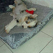 Lenny participe au concours pour gagner de l'argent avec cette photo :