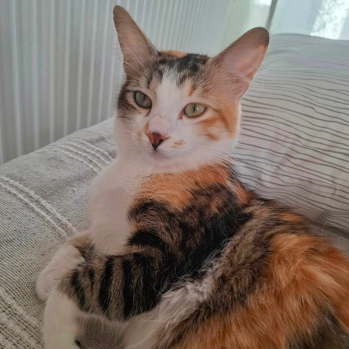 Sissi