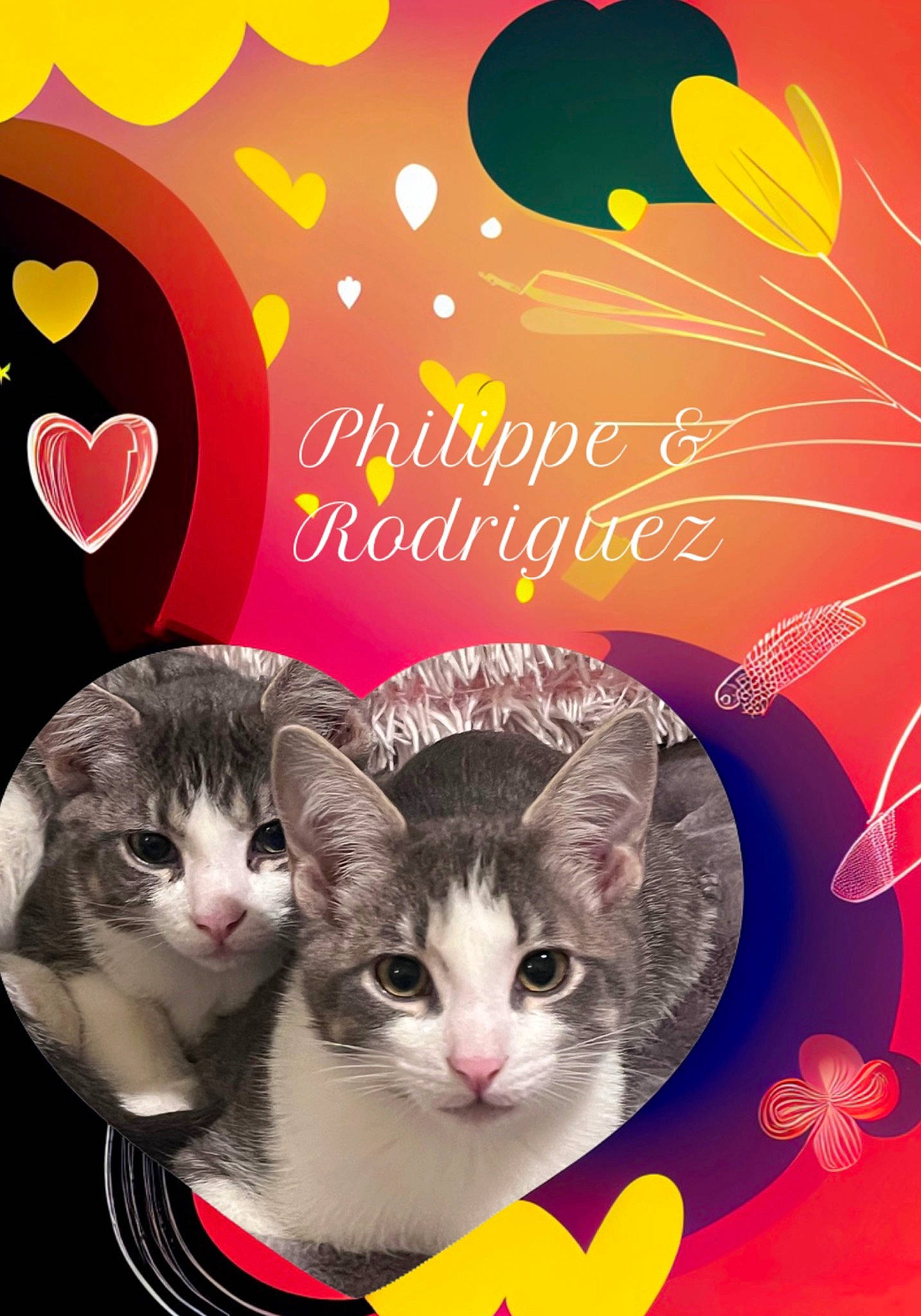 Rodman joined the competition — help win amazing prizes! art, carnivore, cat, event, felidae, font, friendship, fur, greeting, happy, holiday, internet_meme, organism, paw, pet_supply, photo_caption, publication, small_to_medium_sized_cats, tail, whiskers