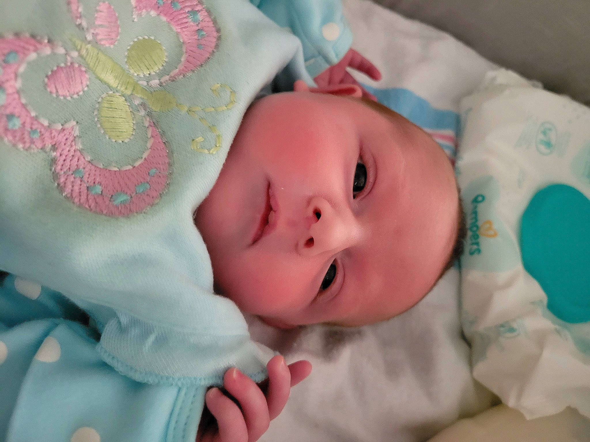 Isabella Lorraine Dubell