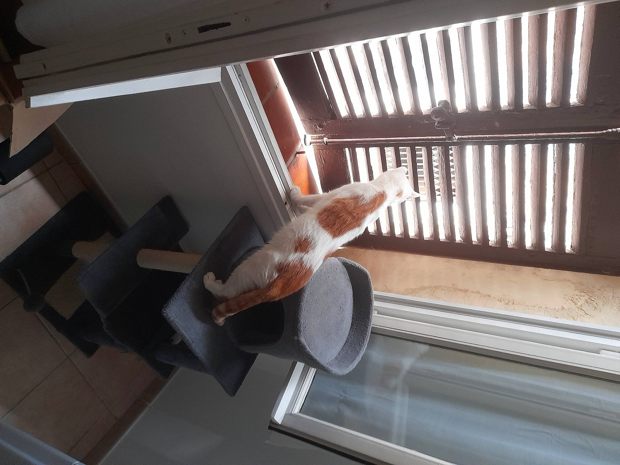 Pitchounette a rejoint le concours — aidez-le/la à gagner de superbes lots ! airplane, automotive_design, building, ceiling, comfort, daylighting, flooring, handrail, material_property, metal, propeller, room, stairs, steel, wing, wood