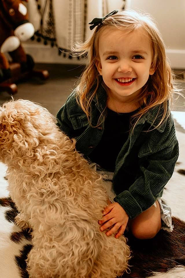 Winsley Kate is registered to the contest to win money with this photo: carnivore, child, companion_dog, dog, dog_breed, fawn, flooring, fun, hair, hairstyle, happy, head, joy, person, photograph, smile, snapshot, sporting_group, toddler, toy_dog