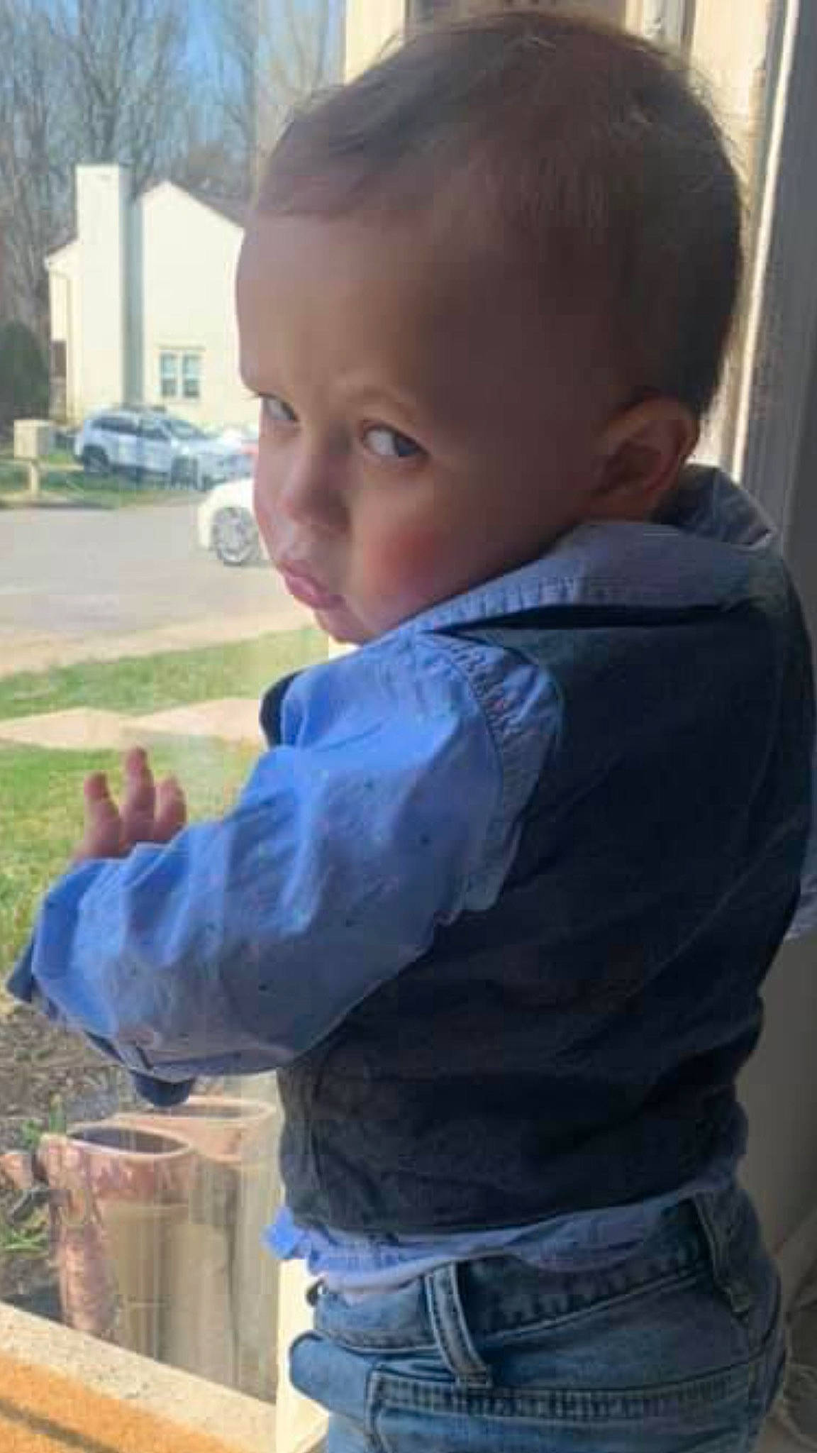 Maxx joined the competition — help win amazing prizes! child, chin, clothing, denim, forehead, grass, hairstyle, hand, happy, head, human_body, nose, person, plant, sitting, skin, sleeve, toddler, tree, window