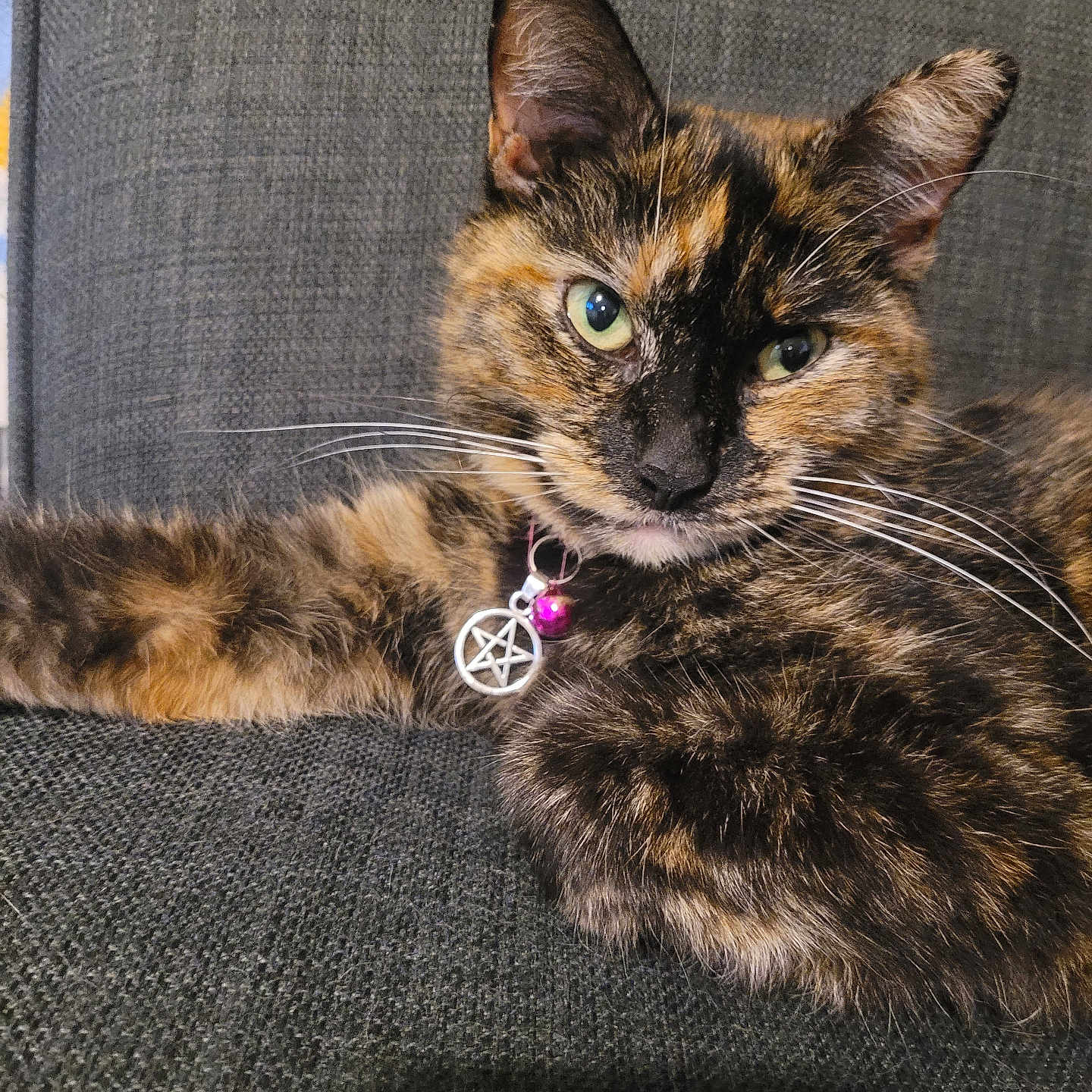 Gizmo