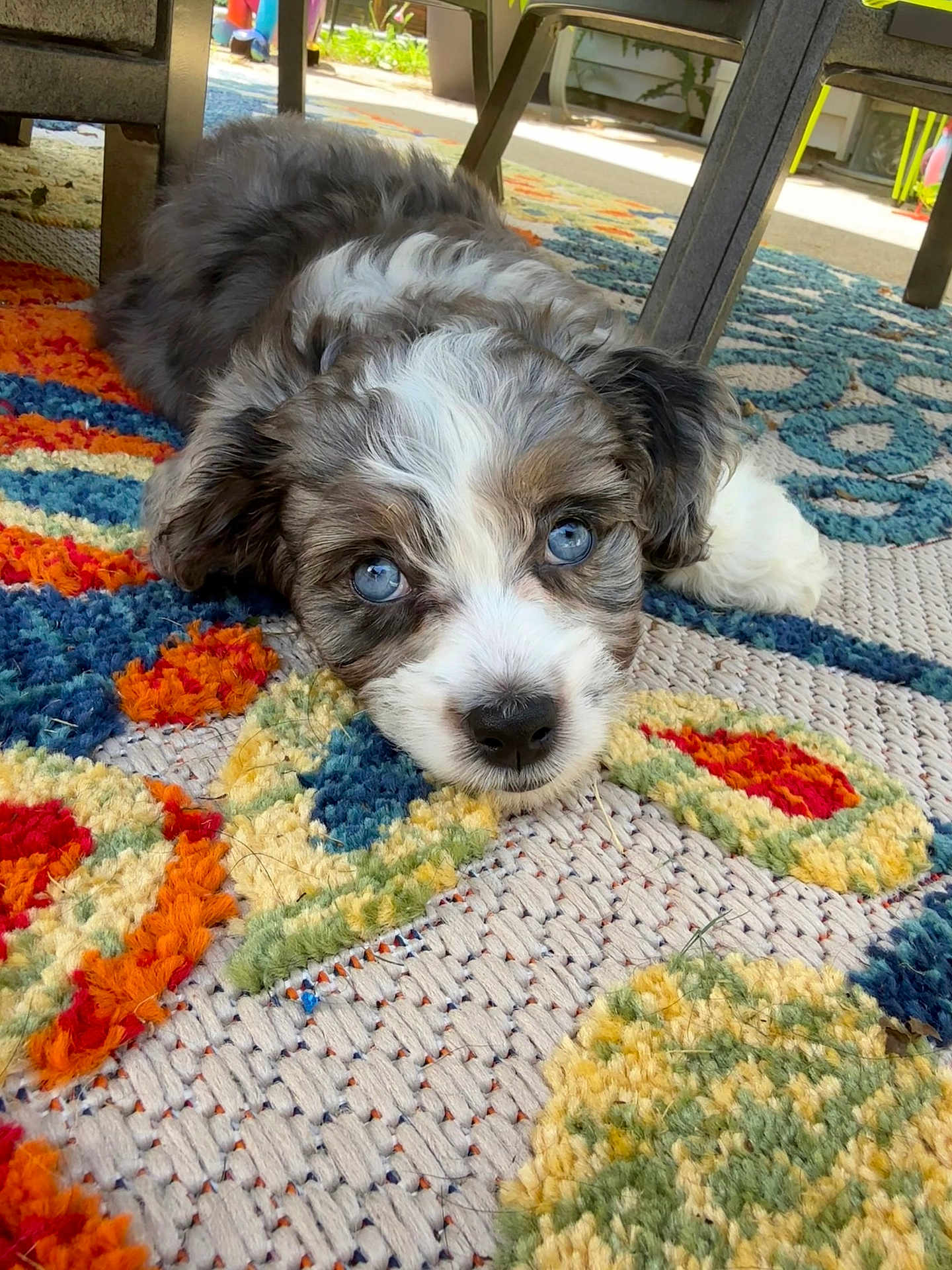 Lucy