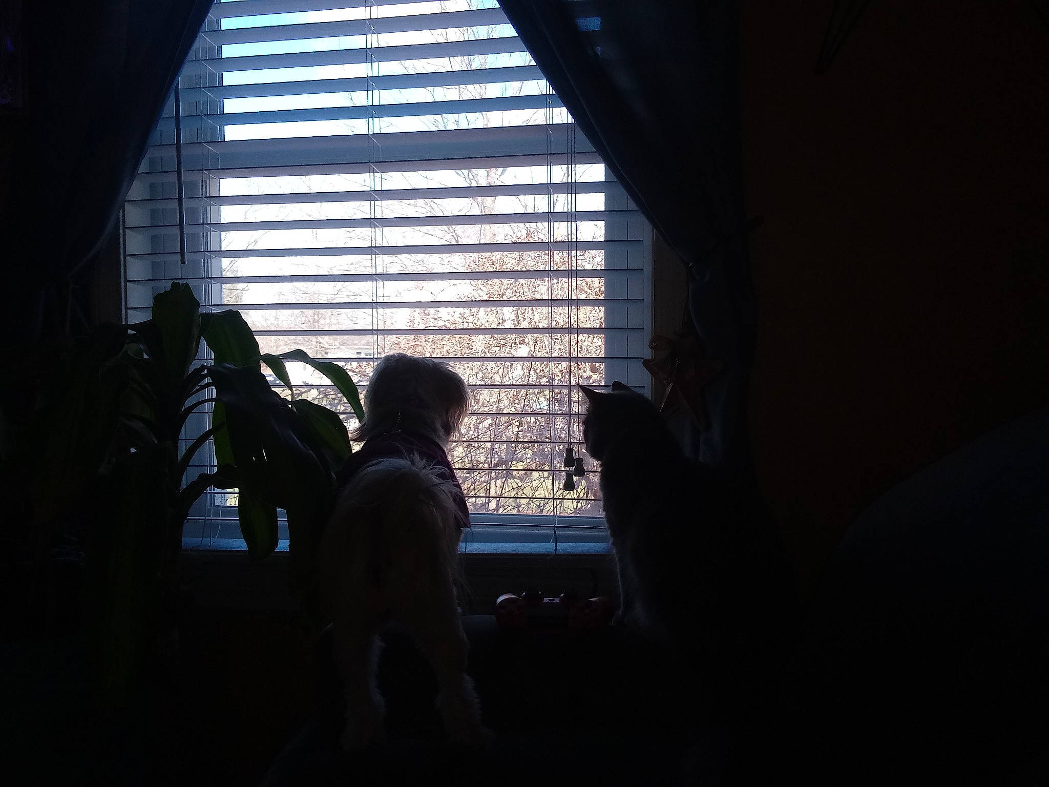 Violet joined the competition — help win amazing prizes! architecture, backlighting, black_and_white, darkness, daylighting, house, light, photography, room, shadow, silhouette, sky, snapshot, sunlight, tints_and_shades, window