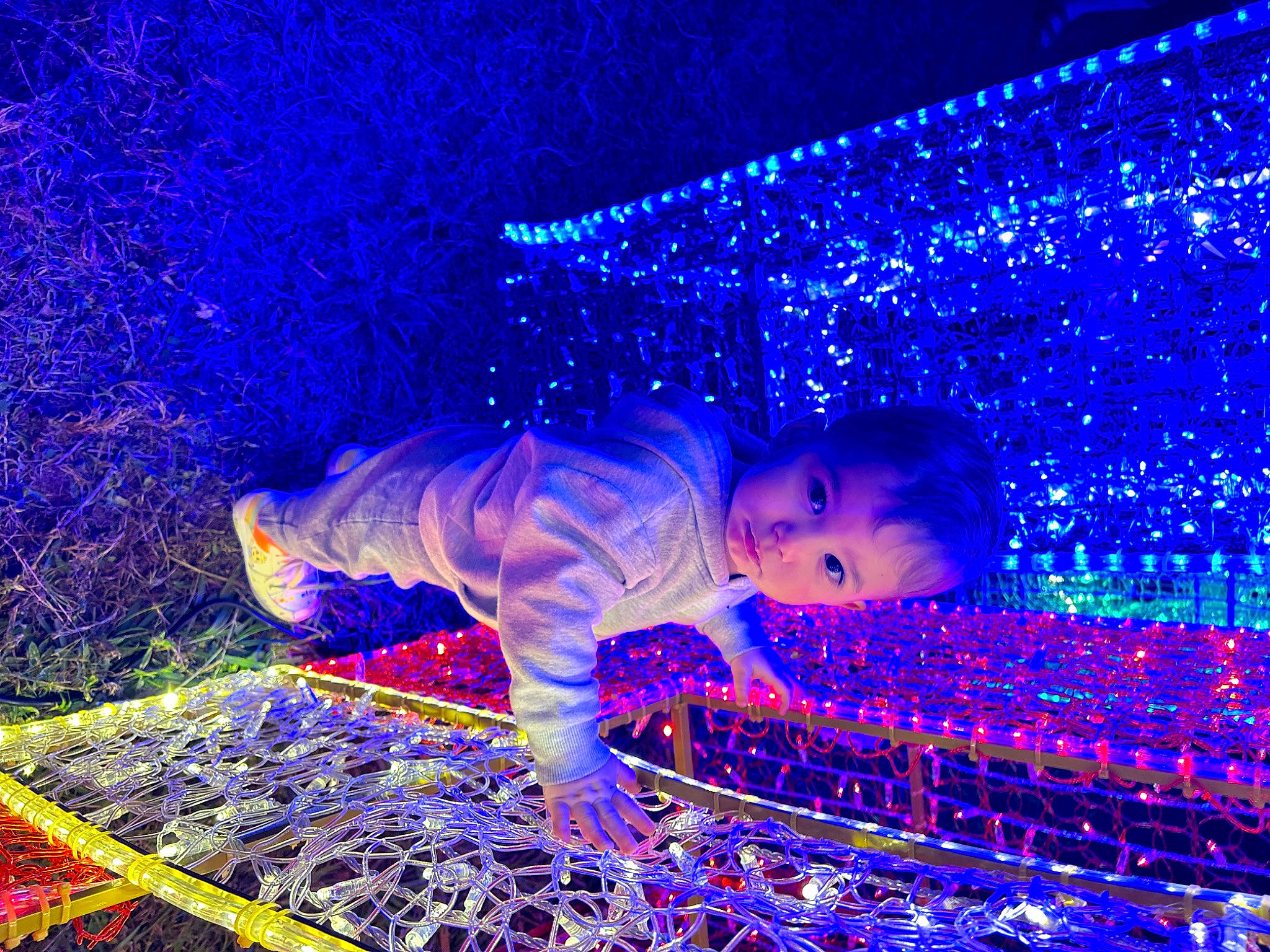 Jayce is registered to the contest to win money with this photo: blue, christmas_decoration, electric_blue, electricity, entertainment, event, fun, happy, holiday, leisure, night, people_in_nature, person, plant, purple, smile, space, toddler, tree, visual_effect_lighting