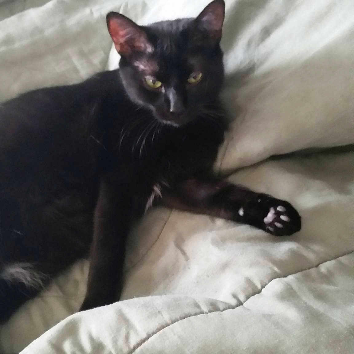 Godzey is registered to the contest to win money with this photo: