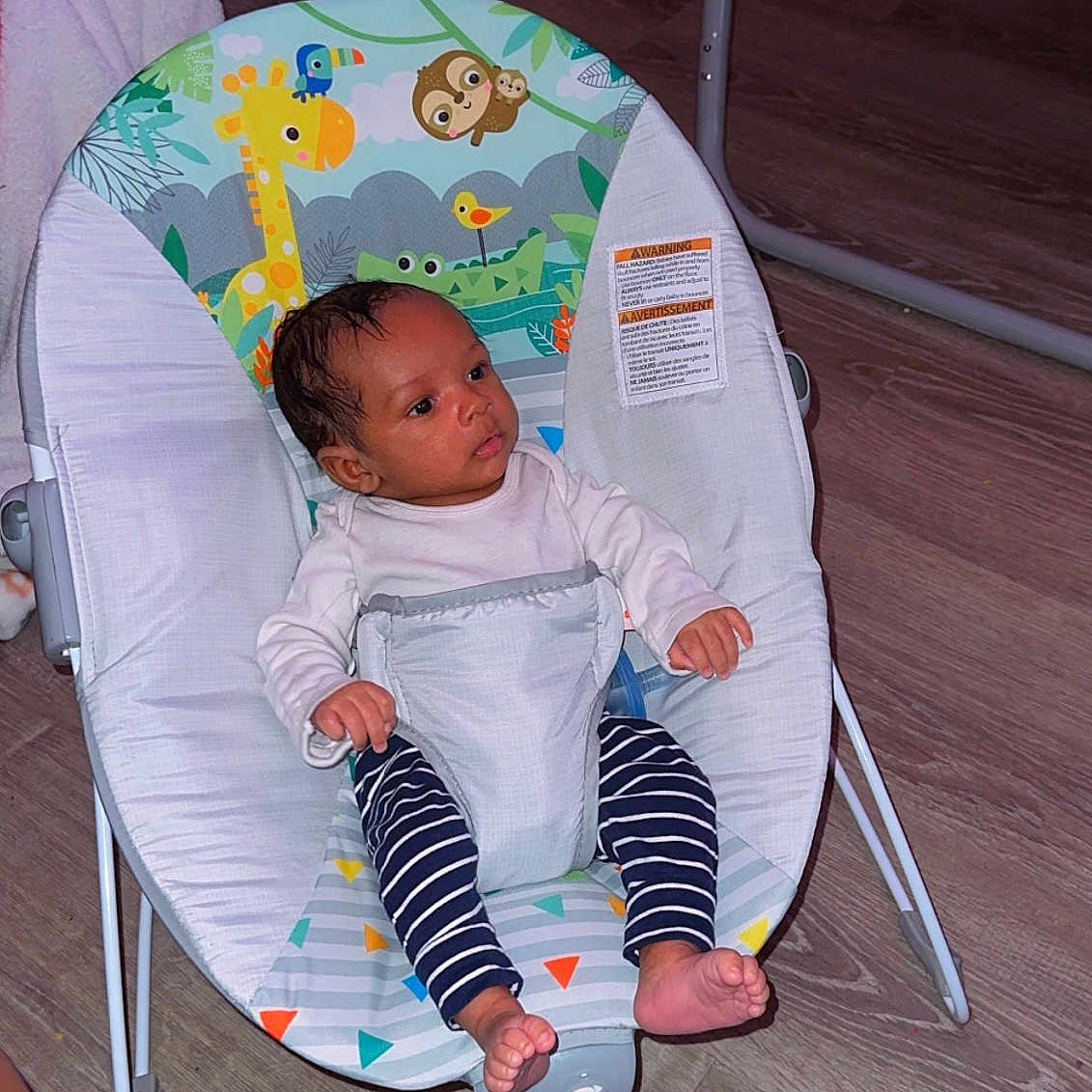 Javere is registered to the contest to win money with this photo: animal_print, baby, baby_clothing, baby_rocker, baby_seat, bare_feet, child, cute, floor, giraffe, indoor, infant, seat_belt, sitting, sloth, small_person, striped_pants, toddler, toucan, wooden_floor