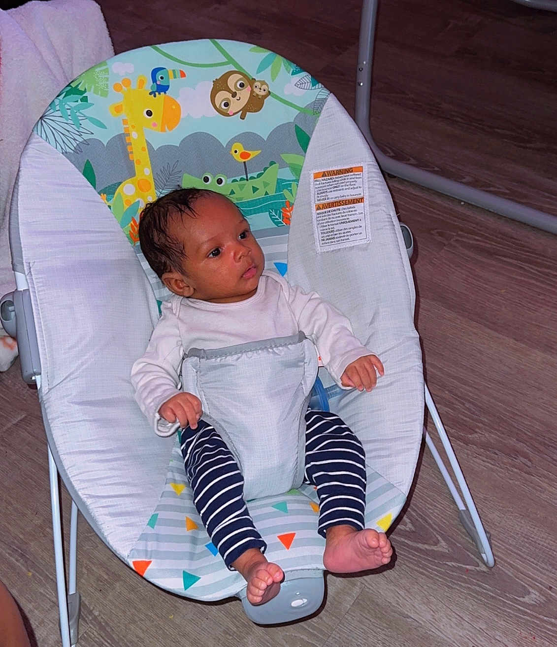 Javere is registered to the contest to win money with this photo: baby, infant, child, baby_rocker, striped_pants, bare_feet, indoor, wooden_floor, animal_print, giraffe, toucan, sloth, baby_clothing, seat_belt, baby_seat, toddler, cute, sitting, small_person, floor