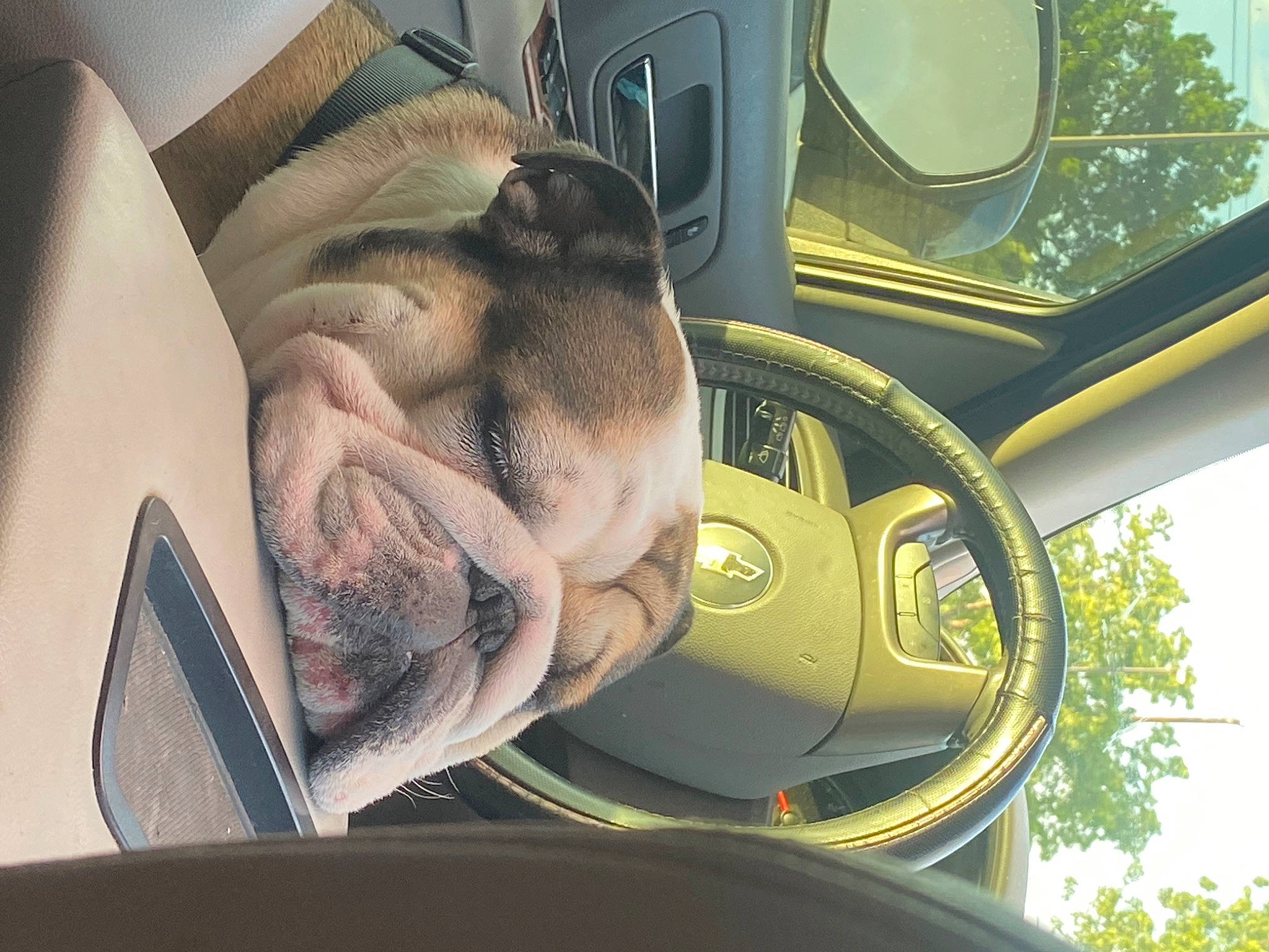 Boe joined the competition — help win amazing prizes! auto_part, automotive_design, automotive_exterior, automotive_mirror, automotive_wheel_system, car, family_car, hood, mode_of_transport, motor_vehicle, personal_luxury_car, plant, rim, steering_part, steering_wheel, tree, vehicle, vehicle_door, window, windshield