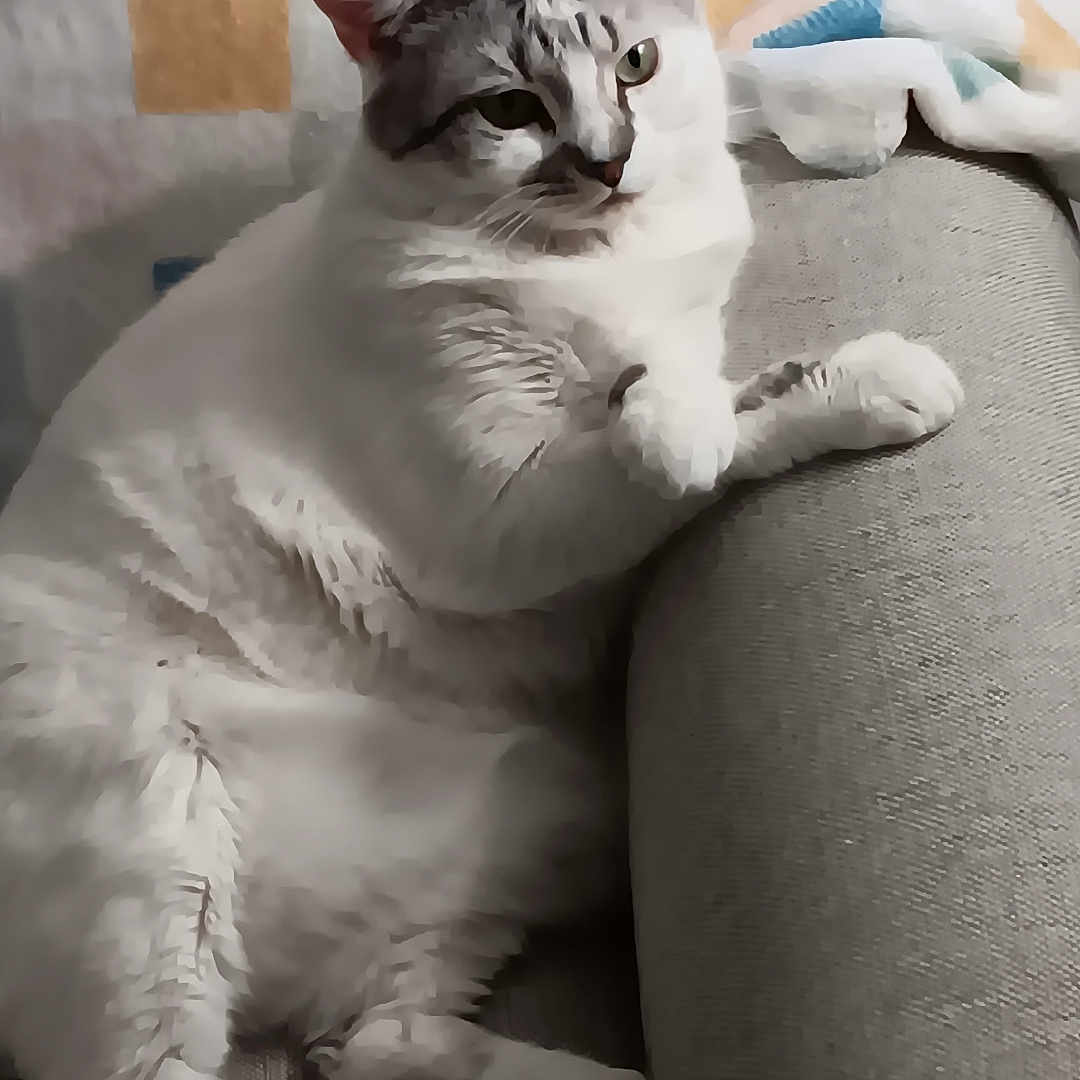Missy