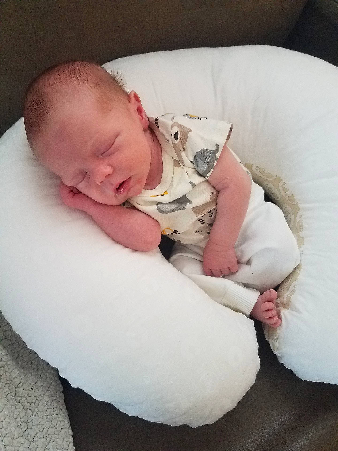 Tripp is registered to the contest to win money with this photo: bed, child, comfort, ear, infant, nap, person, product, sleep, textile, toddler