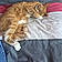 Tigger