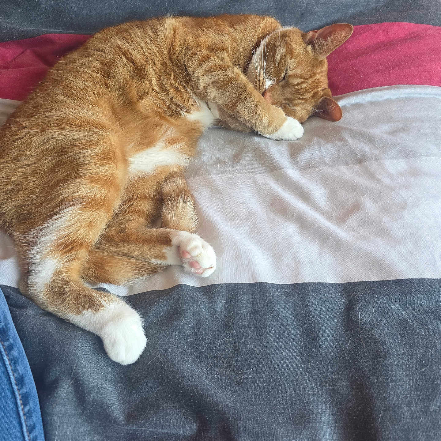 Tigger