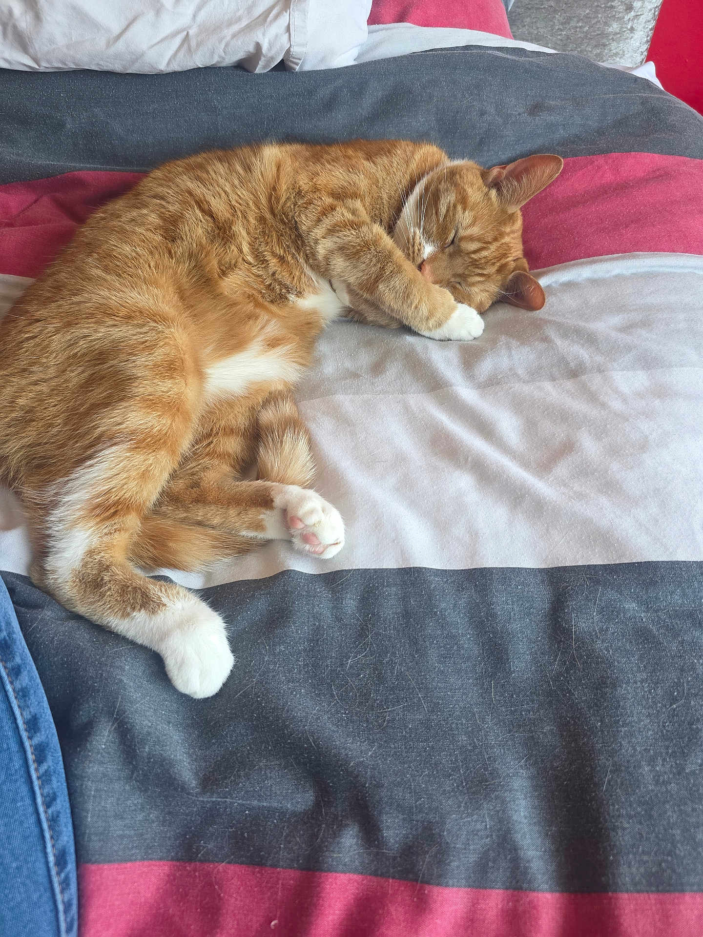 Tigger