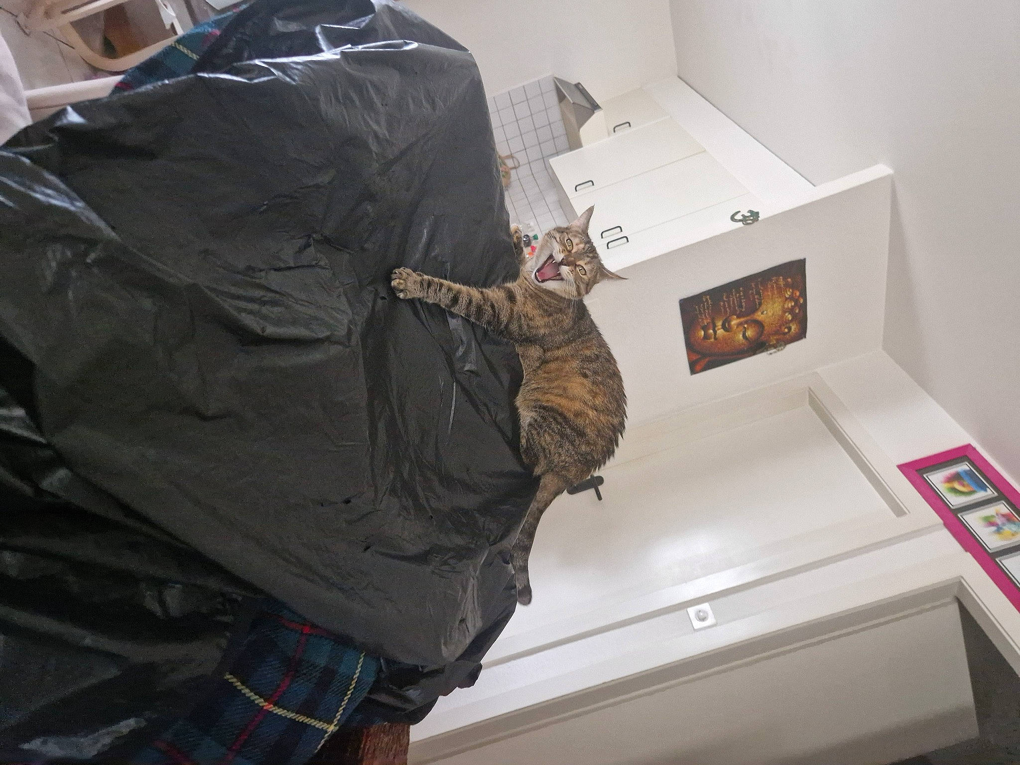 Boubou a rejoint le concours — aidez-le/la à gagner de superbes lots ! comfort, display_device, gadget, gas, glove, machine, pattern, personal_protective_equipment, plaid, room, sleeve, tartan