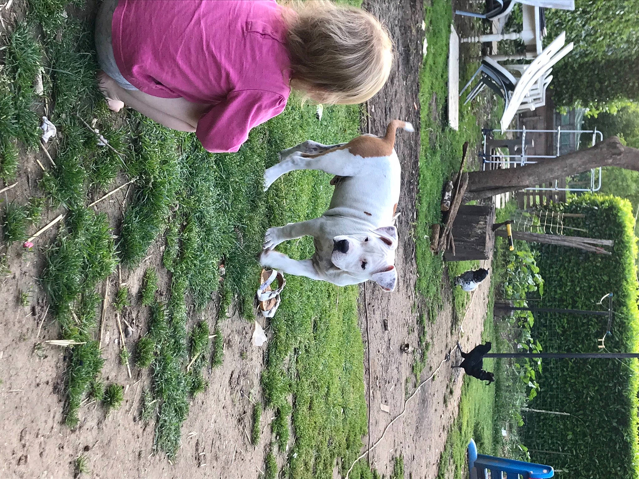 Many a rejoint le concours — aidez-le/la à gagner de superbes lots ! adaptation, fun, grass, hat, landscape, leisure, organism, people_in_nature, plant, recreation, shrub, soil, t_shirt, toddler, tree