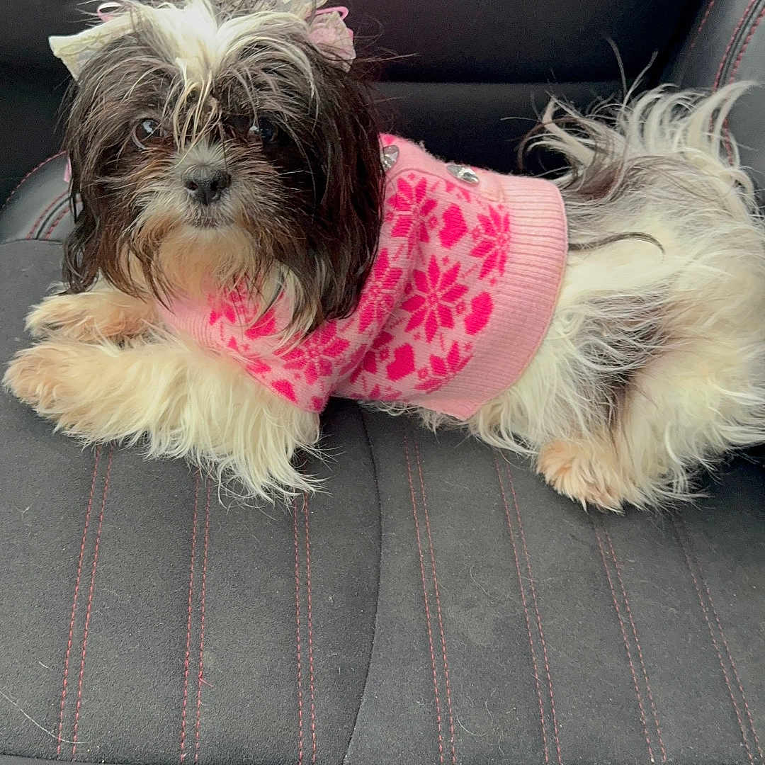 Princess