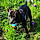 Taly