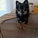 Filou