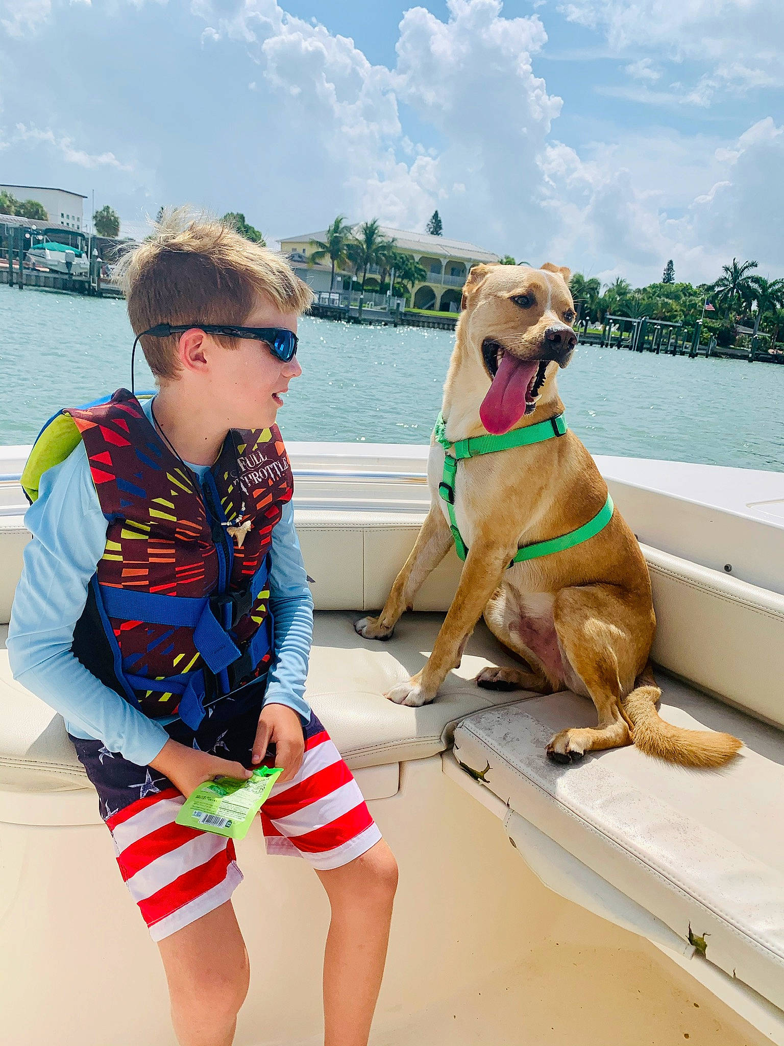 Sonny joined the competition — help win amazing prizes! boats_and_boating_equipment_and_supplies, carnivore, cloud, companion_dog, dog, eyewear, fawn, fun, glasses, goggles, holiday, lake, leisure, personal_protective_equipment, recreation, sky, sunglasses, thigh, toy, water