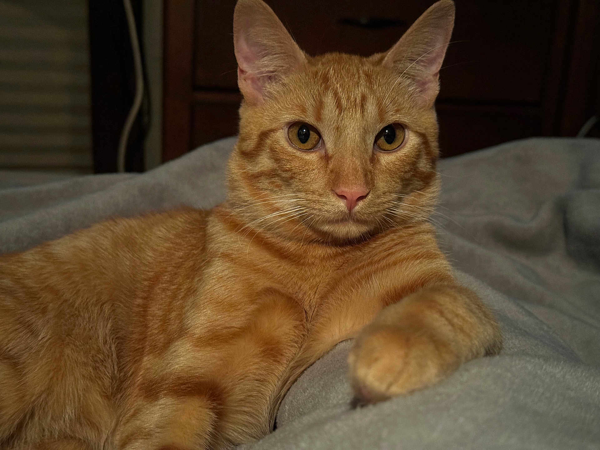 Sonny