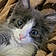 Atticus