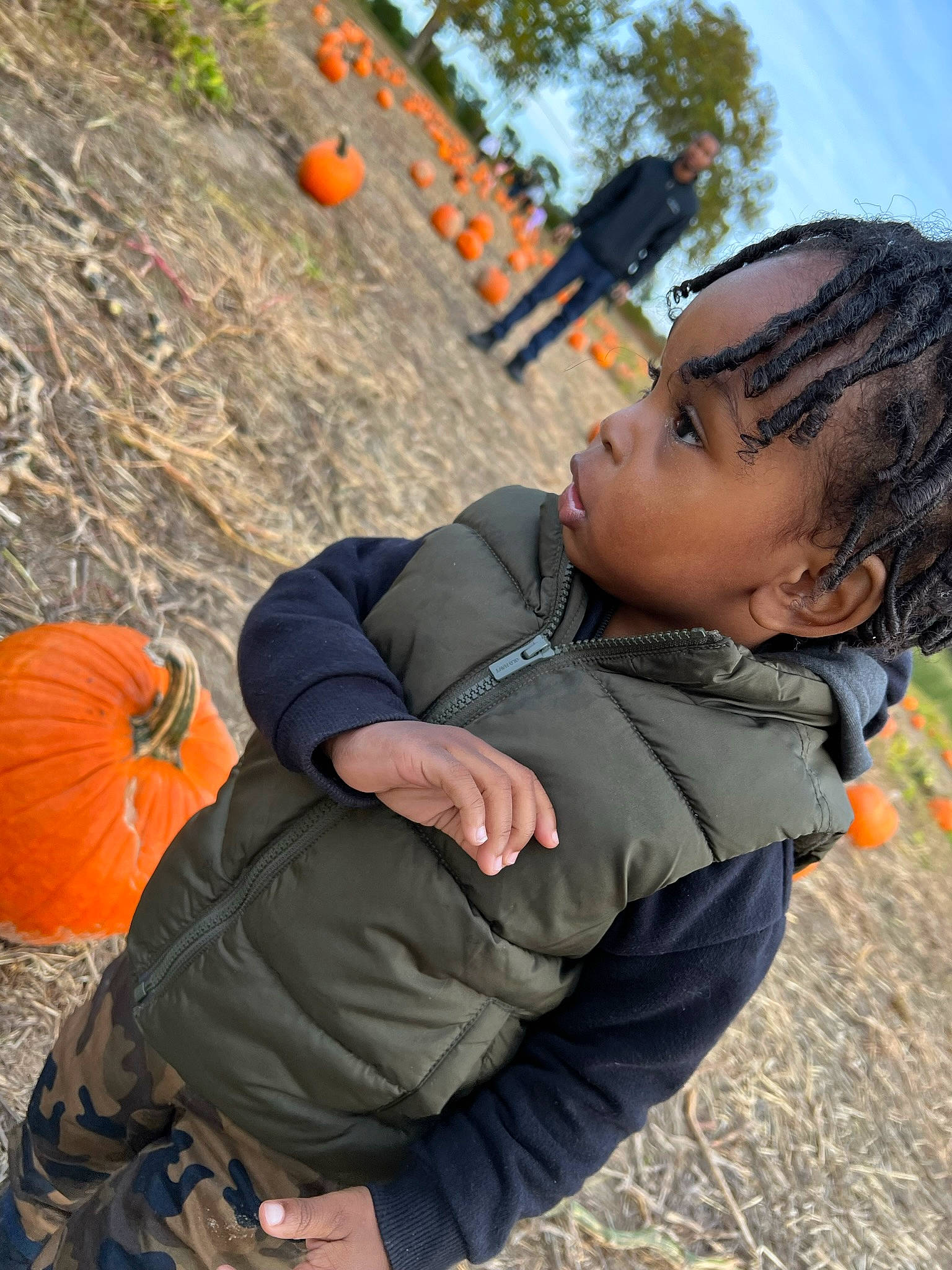 Demetrius is registered to the contest to win money with this photo: adaptation, botany, calabaza, community, cucurbita, face, facial_expression, gourd, happy, head, leisure, morning, people_in_nature, person, photograph, plant, pumpkin, sky, tree, winter_squash