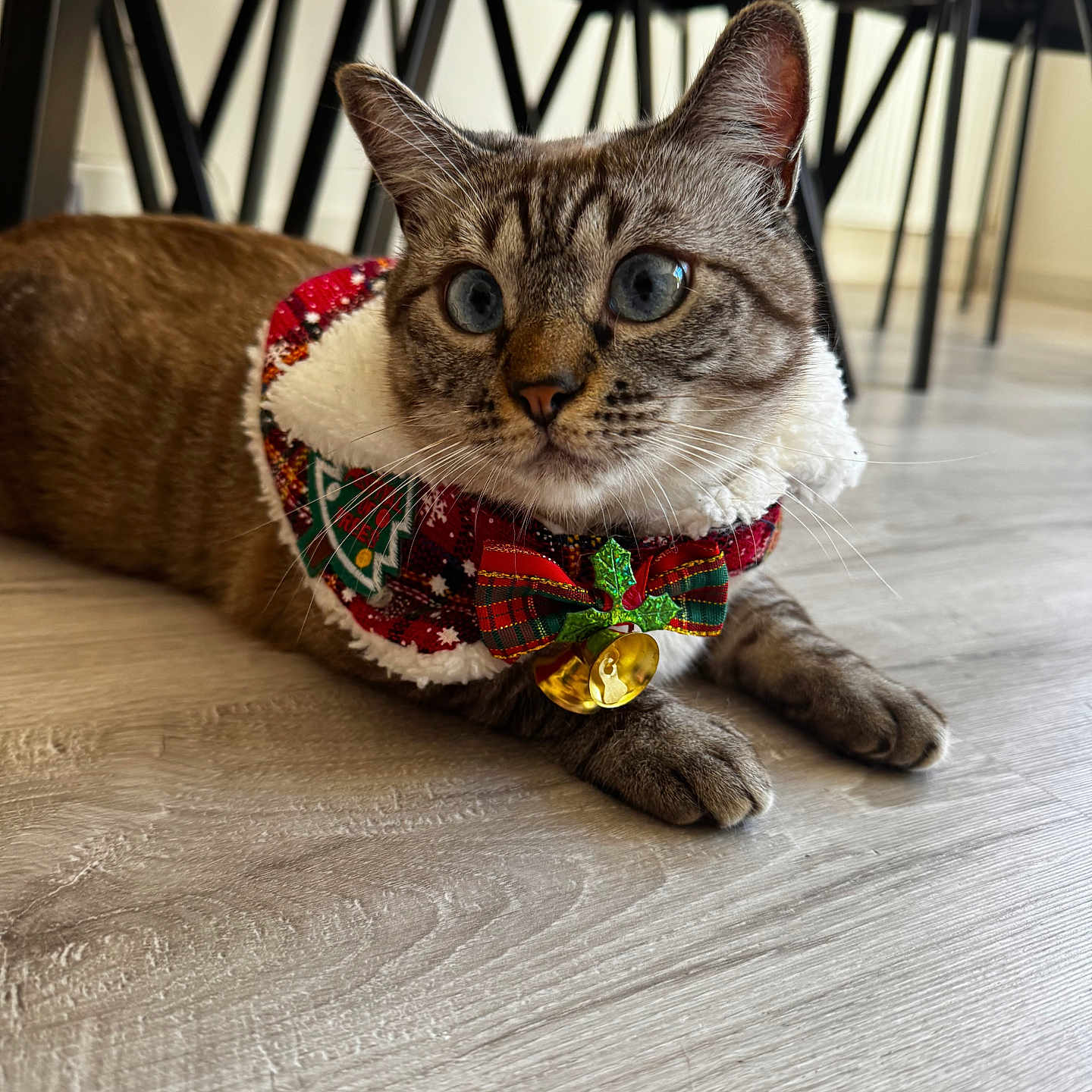Khalessi