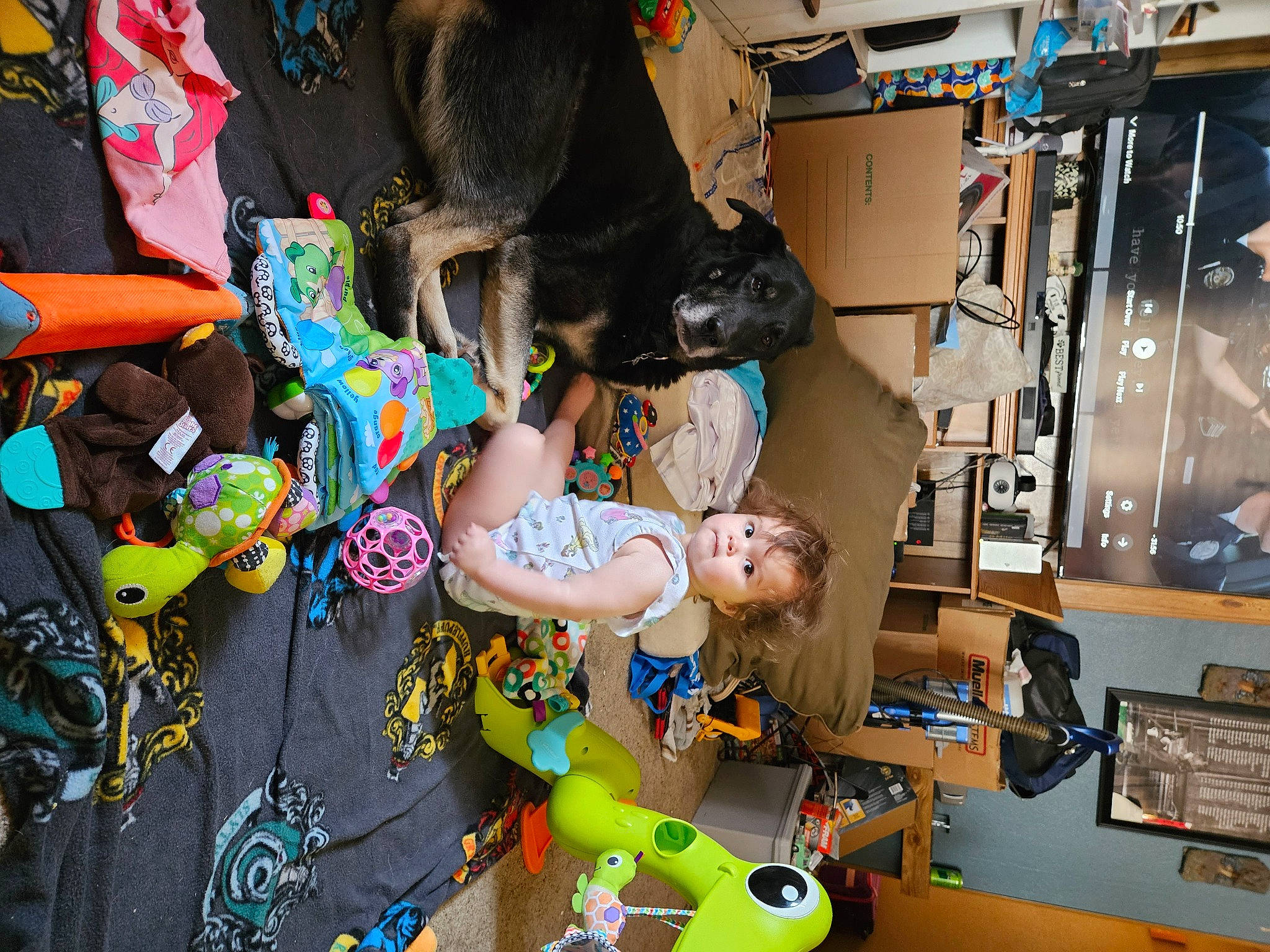 Clementine joined the competition — help win amazing prizes! child, collection, costume, event, fun, fur, hat, machine, person, plastic, plush, retail, room, shelf, shelving, stuffed_toy, toy, visual_arts