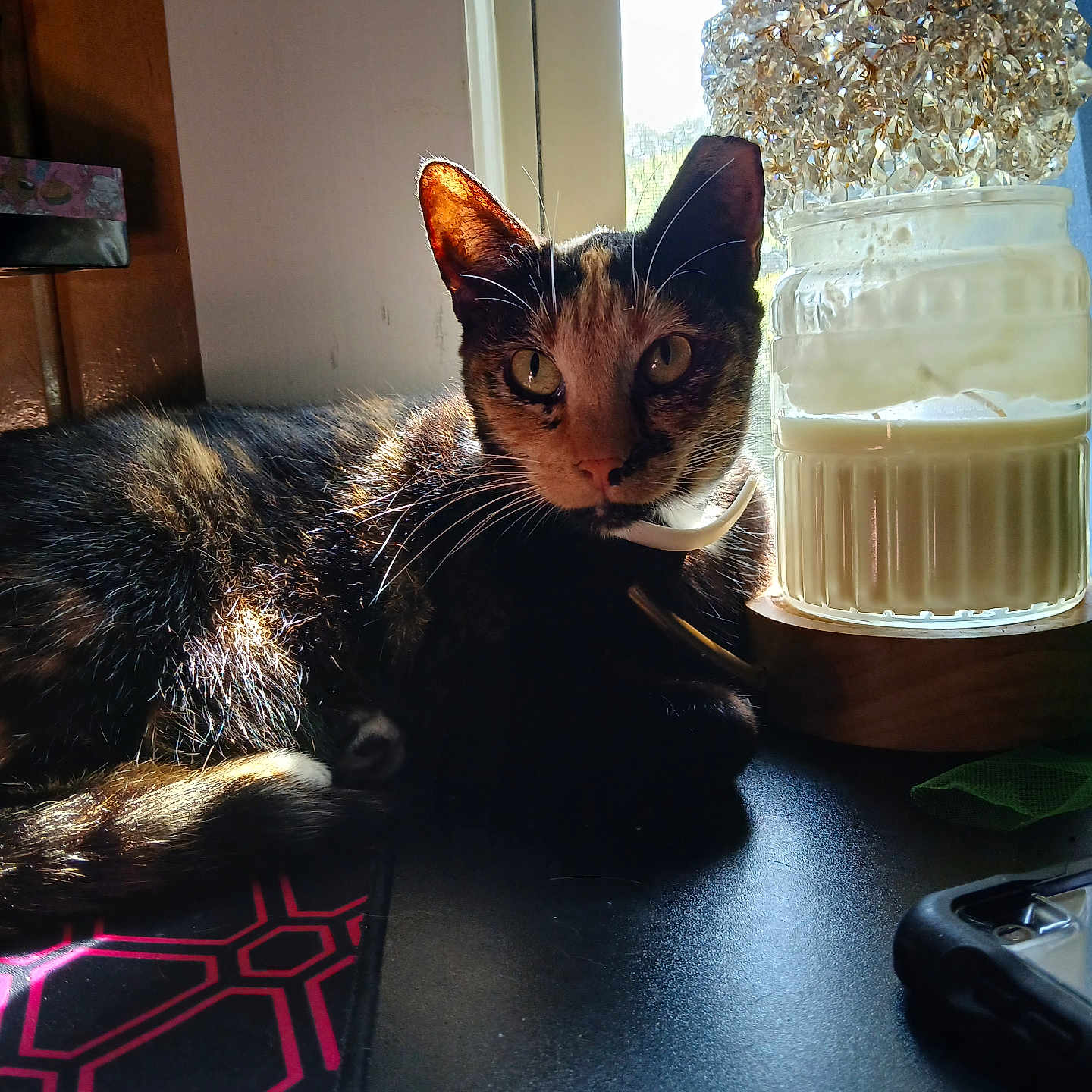 Hazel