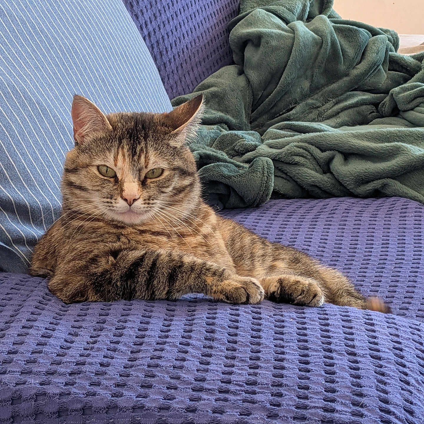 Dexter