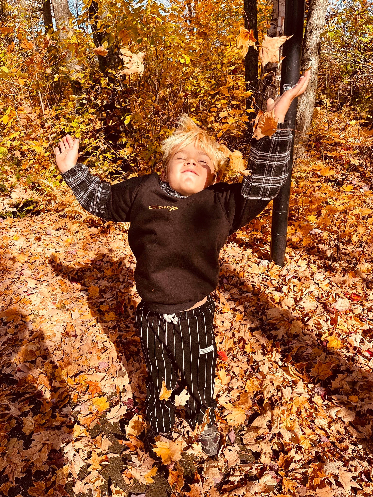 Jayden participe au concours pour gagner de l'argent avec cette photo : botany, branch, deciduous, forest, fun, grass, happy, leaf, leisure, natural_environment, people_in_nature, person, plant, soil, sunlight, tints_and_shades, tree, trunk, twig, wood