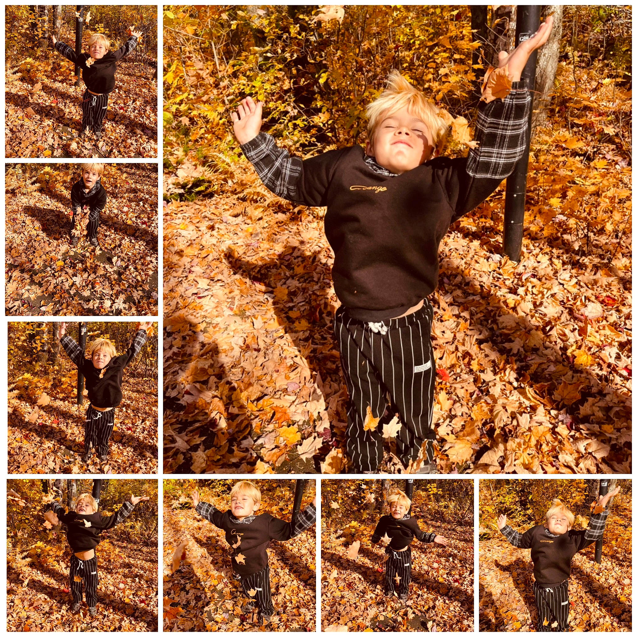 Jayden a rejoint le concours — aidez-le/la à gagner de superbes lots ! adaptation, branch, deciduous, forest, grass, happy, natural_landscape, organism, people_in_nature, person, plant, recreation, soil, stock_photography, tree, trunk, twig, wood, woodland, woody_plant