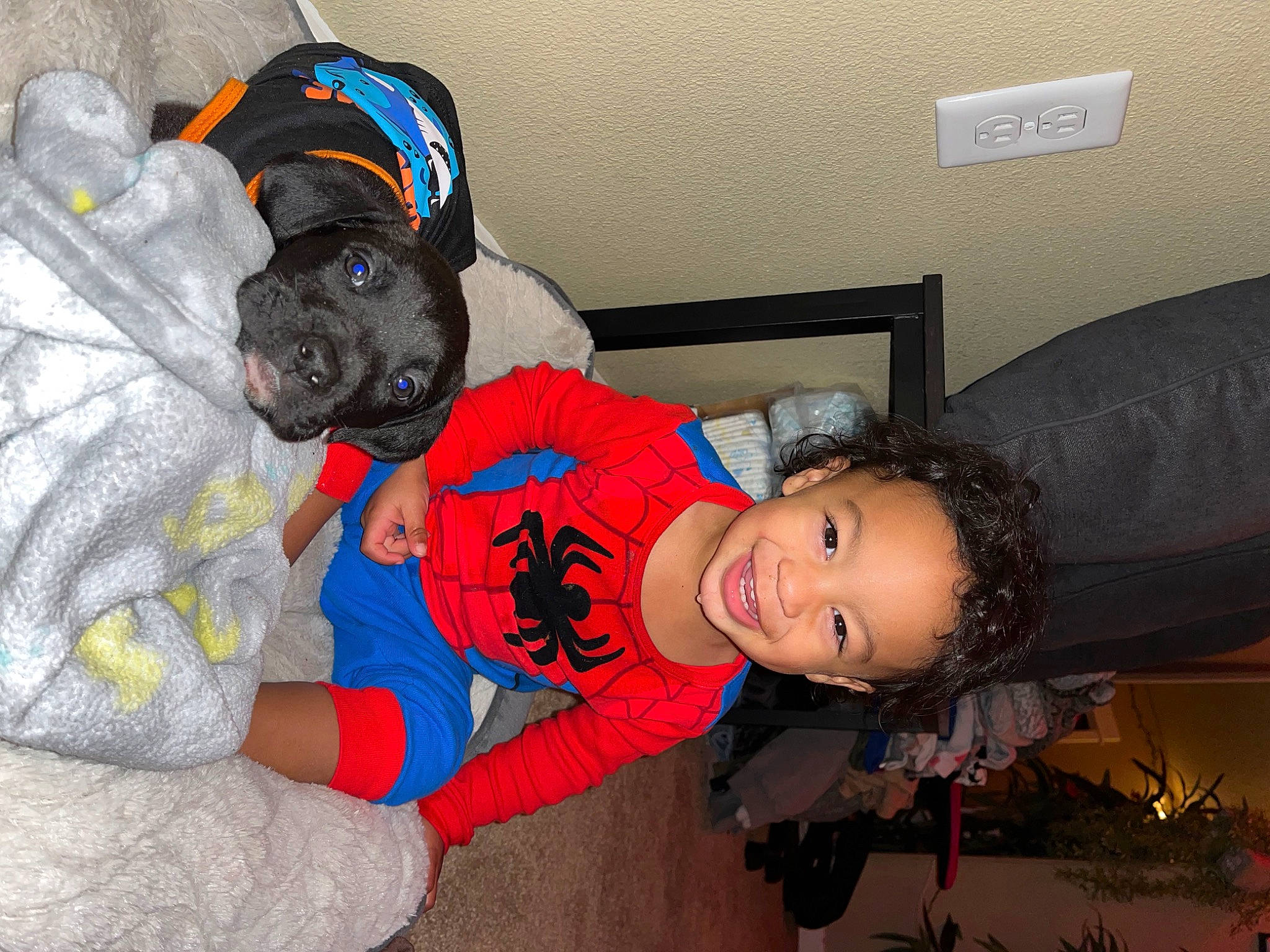 Kameron joined the competition — help win amazing prizes! canidae, carnivore, comfort, companion_dog, costume, dog, dog_breed, dog_clothes, dog_supply, fun, hat, joy, person, personal_protective_equipment, pet_supply, plant, smile, sporting_group, t_shirt, toddler