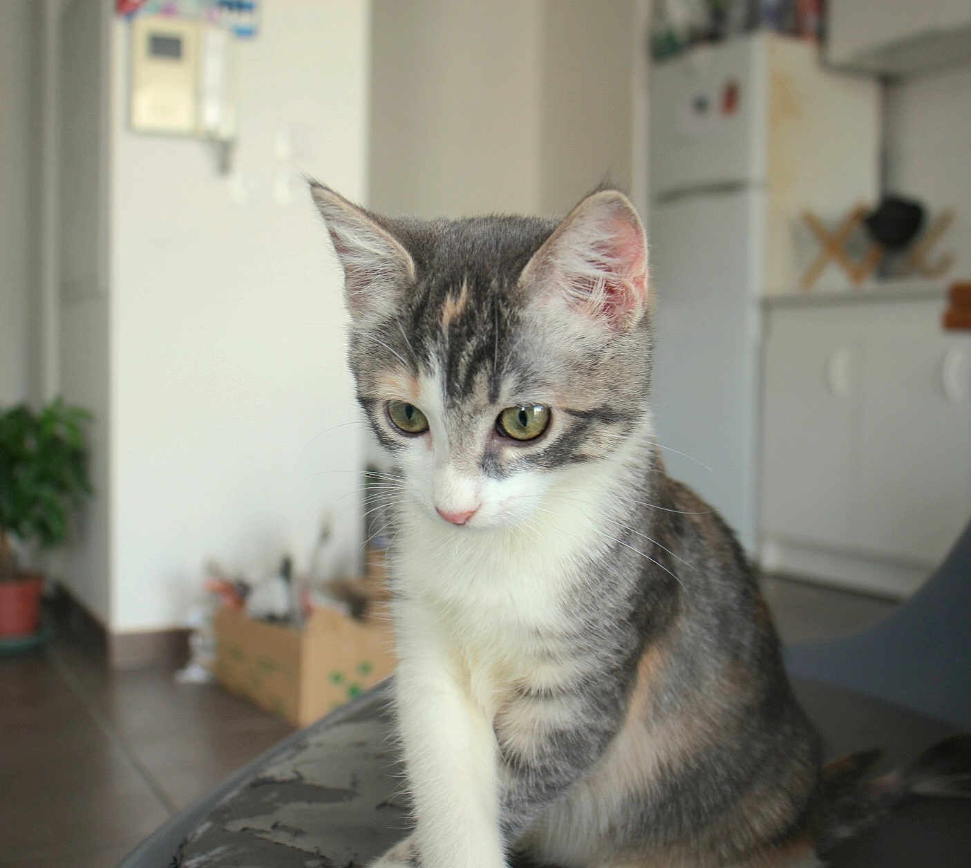 Aby