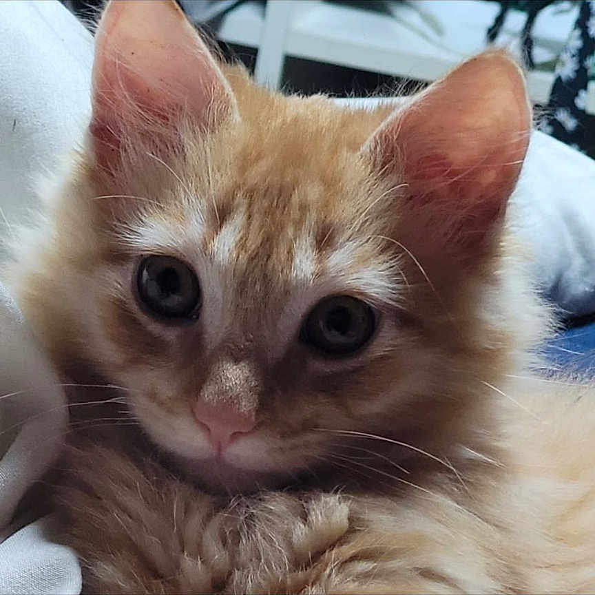 Charly