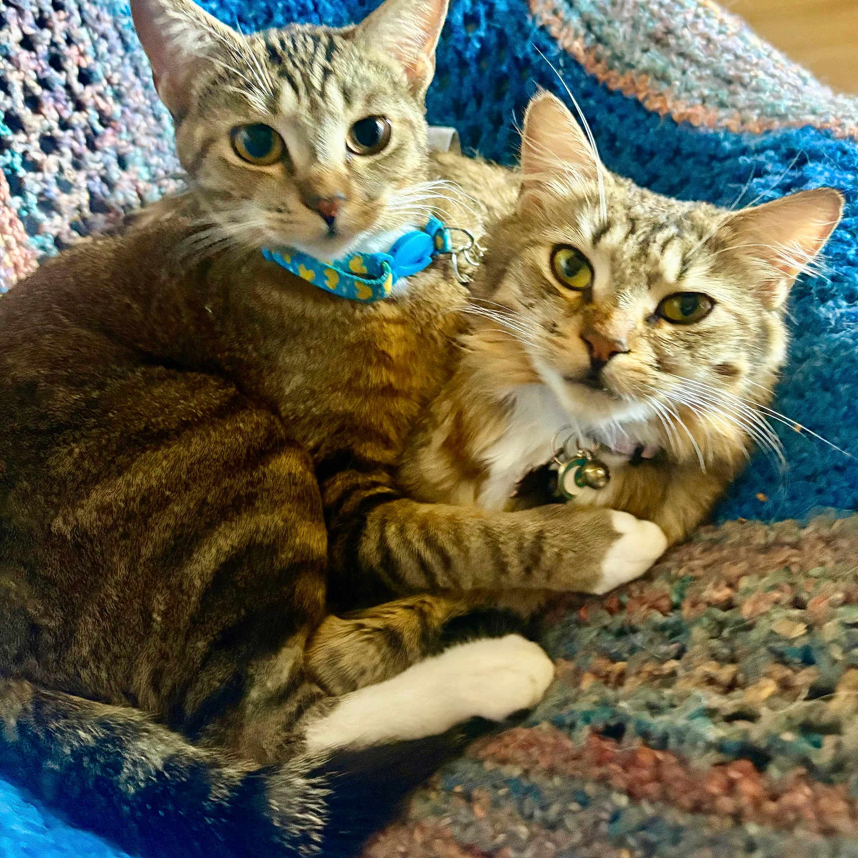 Nani And Peaches