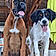 Bonnie Et Baya